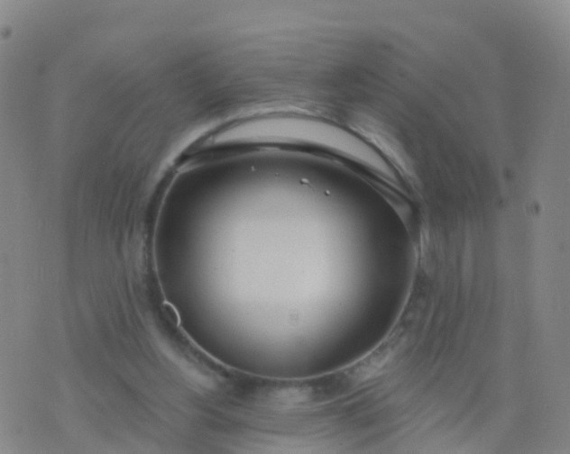 X0000074320156200609082016