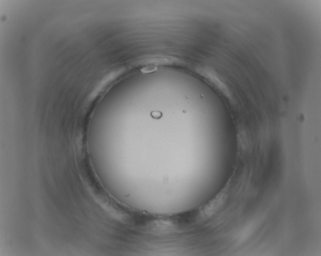 X0000074320159200609082016