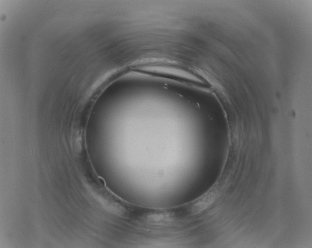 X0000074320160200609082016