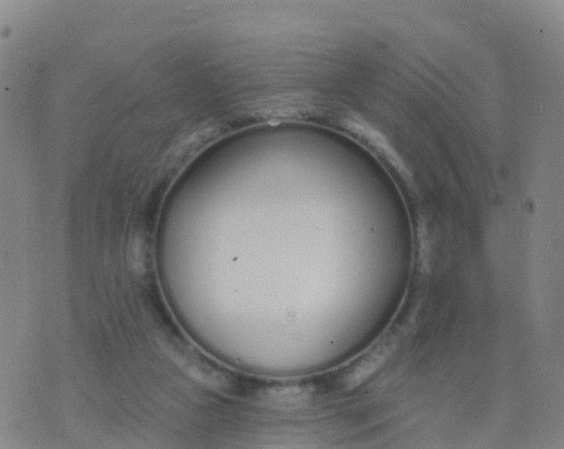 X0000074320161200609082016