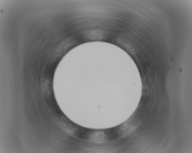 X0000074320162200609082016