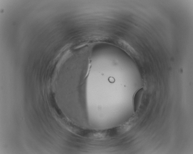 X0000074320163200609082016