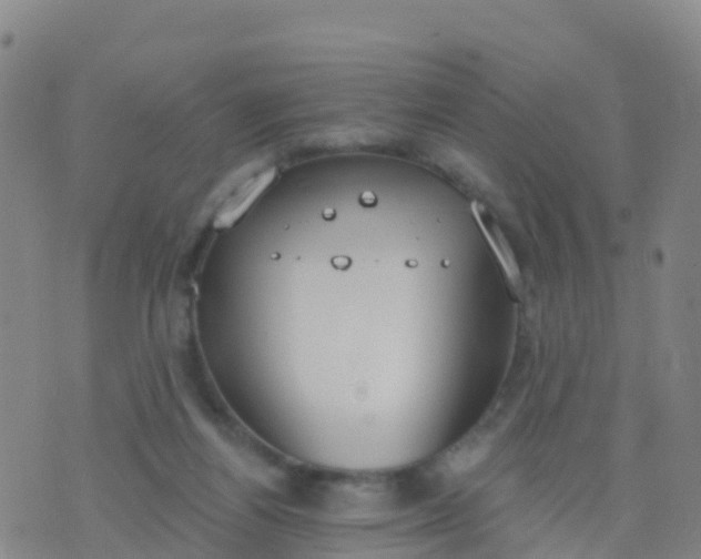 X0000074320164200609082016