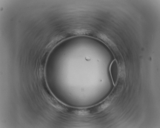 X0000074320165200609082016