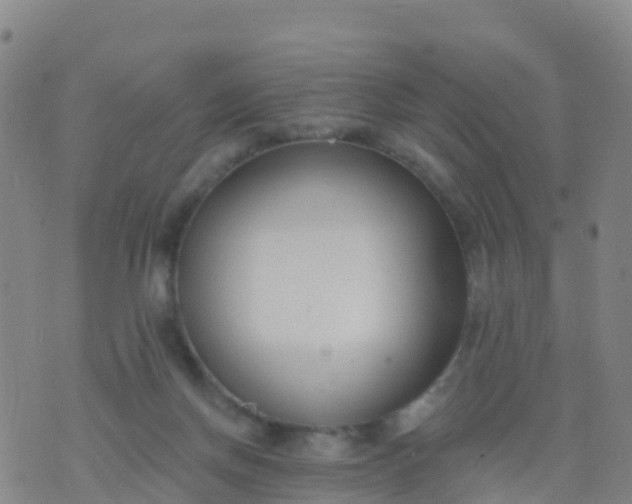 X0000074320166200609082016