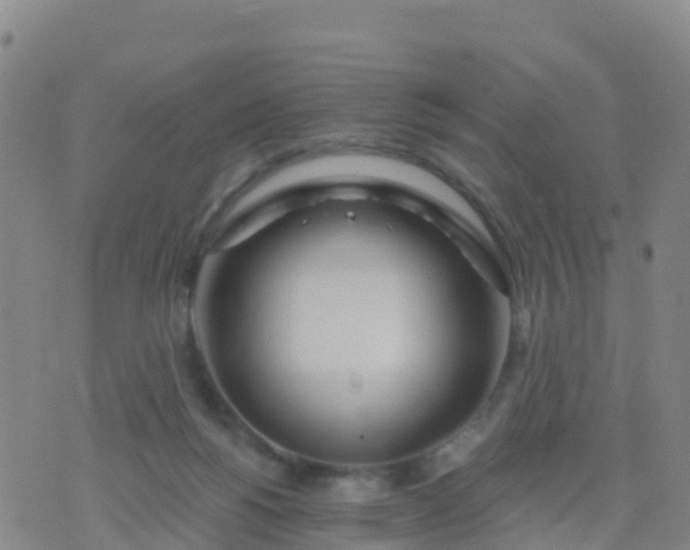 X0000074320168200609082016