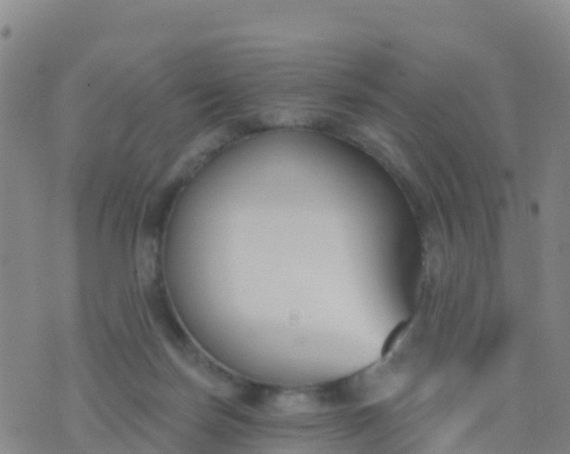 X0000074320171200609082016