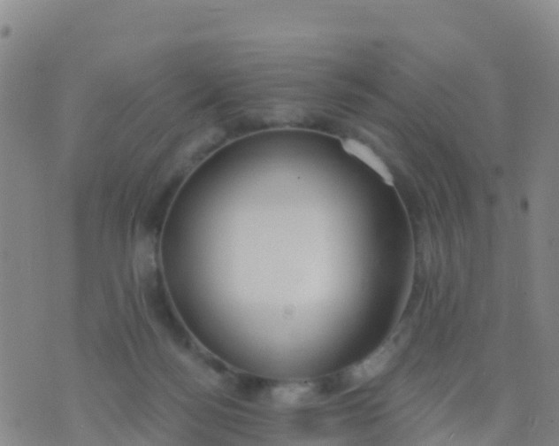 X0000074320172200609082016