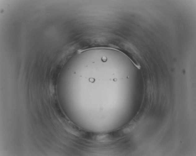 X0000074320173200609082016