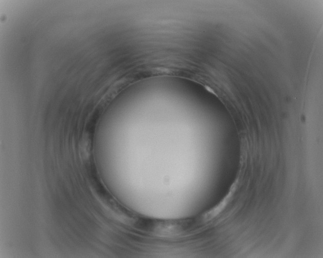 X0000074320174200609082016