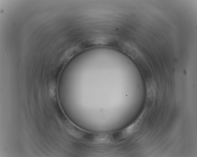 X0000074320175200609082016