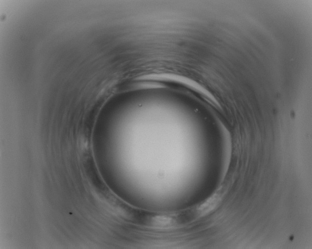 X0000074320176200609082016