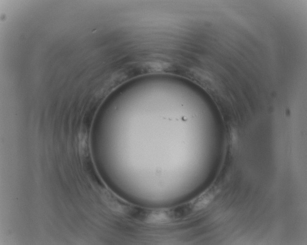 X0000074320177200609082016