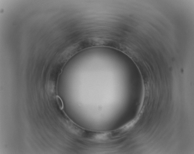 X0000074320178200609082016