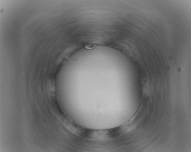 X0000074320179200609082016