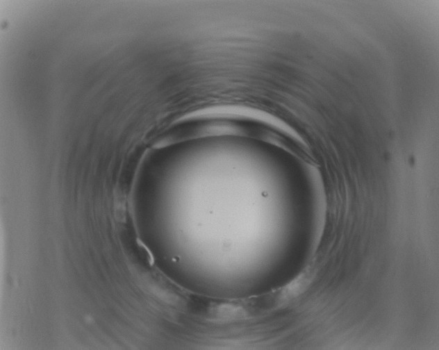 X0000074320180200609082016