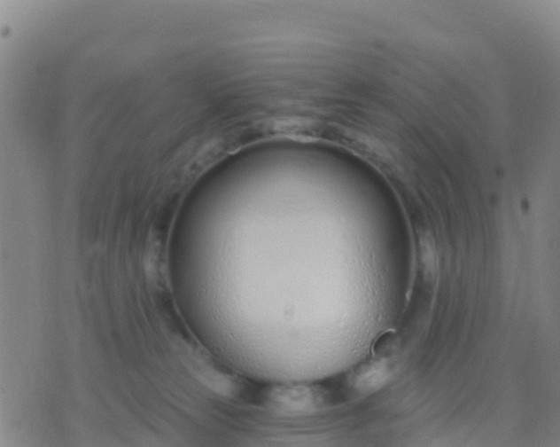 X0000074320181200609082016