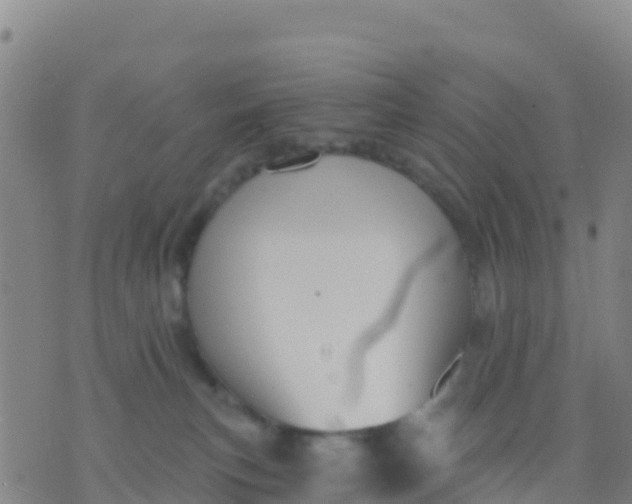 X0000074320183200609082016