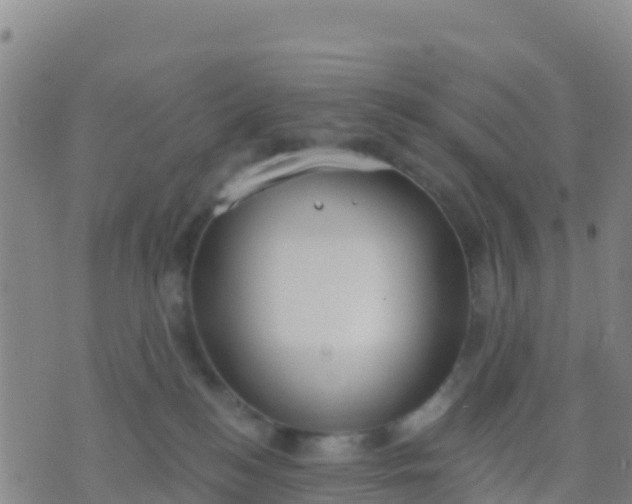 X0000074320184200609082016