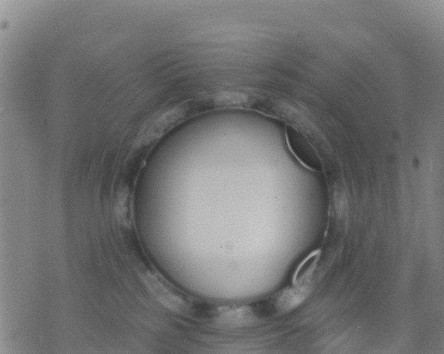 X0000074320185200609082016