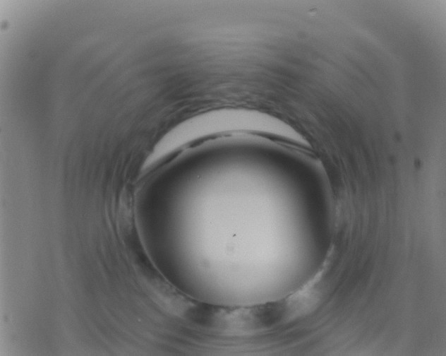 X0000074320186200609082016