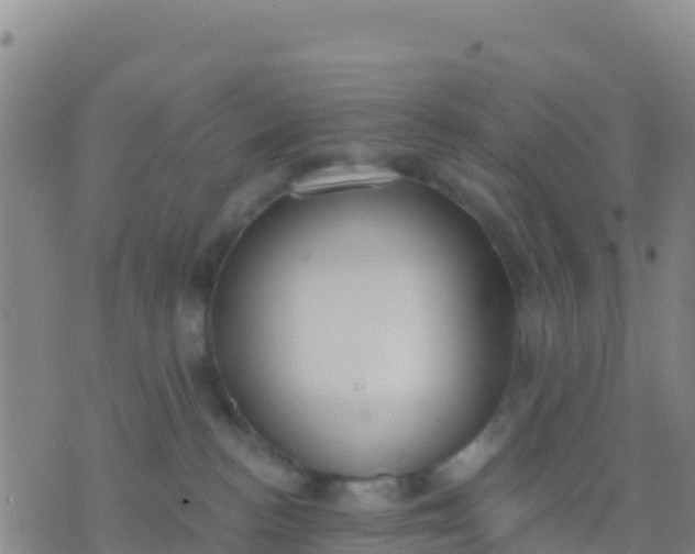 X0000074320188200609082016