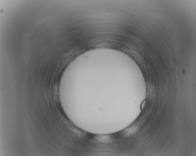 X0000074320189200609082016