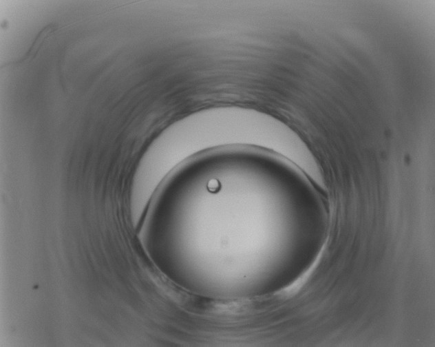 X0000074320190200609082016