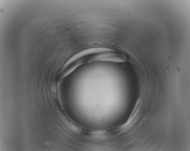 X0000074320192200609082016