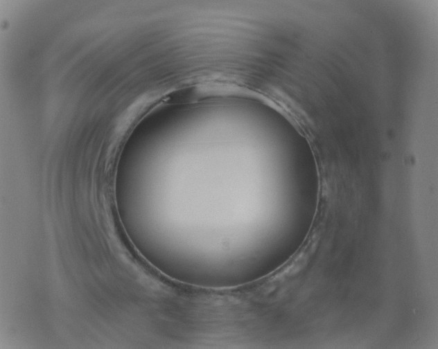 X0000074320193200609082016