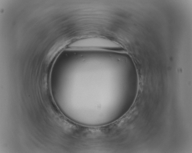 X0000074320194200609082016