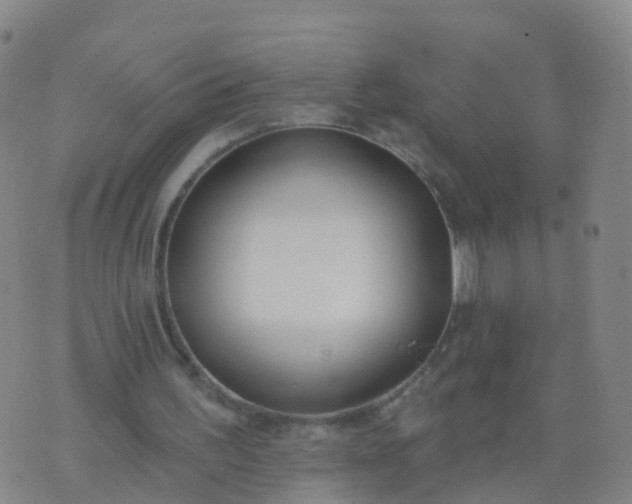 X0000074320195200609082015