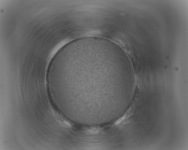 X0000074320196200609082015