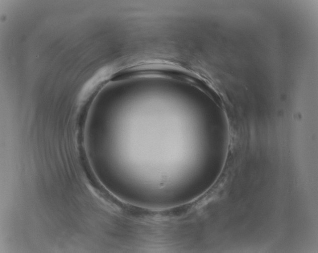 X0000074320197200609082015