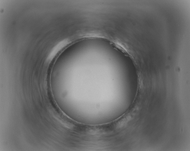 X0000074320199200609082015