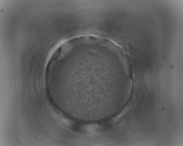 X0000074320200200609082015