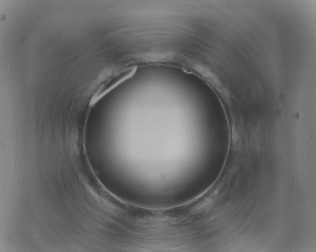 X0000074320201200609082015