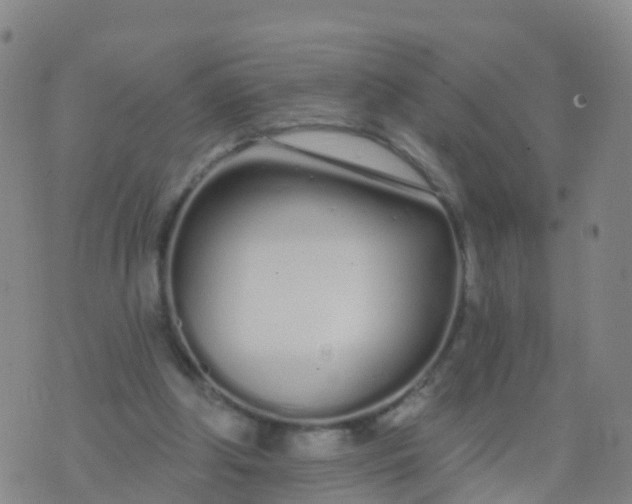 X0000074320202200609082015