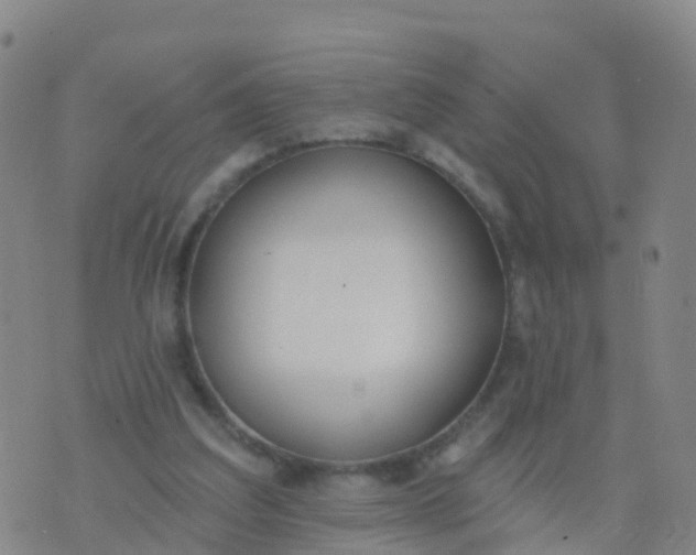 X0000074320203200609082015