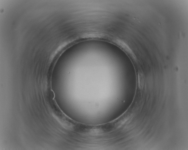 X0000074320204200609082015