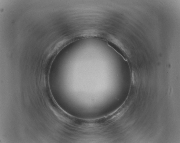 X0000074320205200609082015