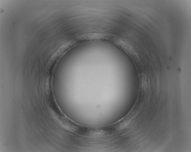 X0000074320206200609082015