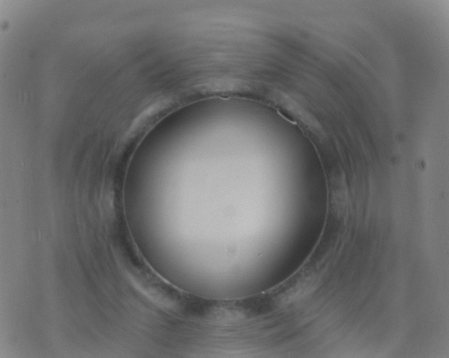 X0000074320207200609082015