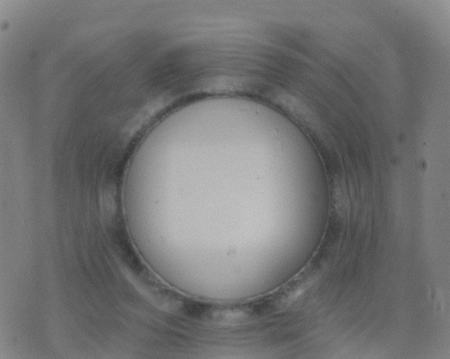 X0000074320208200609082015