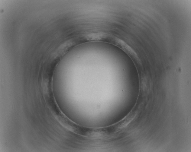 X0000074320209200609082015