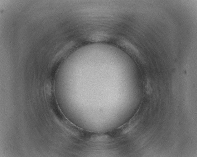 X0000074320210200609082015