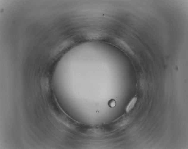 X0000074320211200609082015