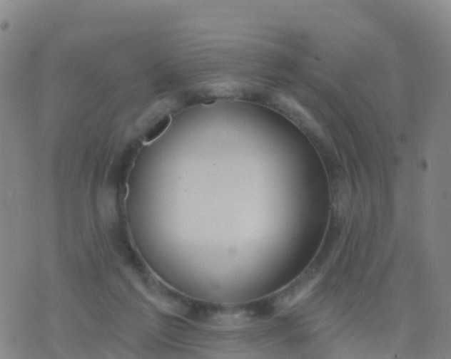 X0000074320213200609082015