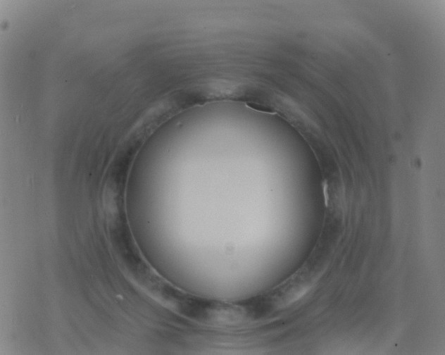 X0000074320215200609082015