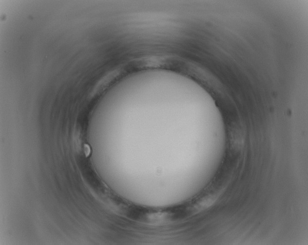 X0000074320216200609082015